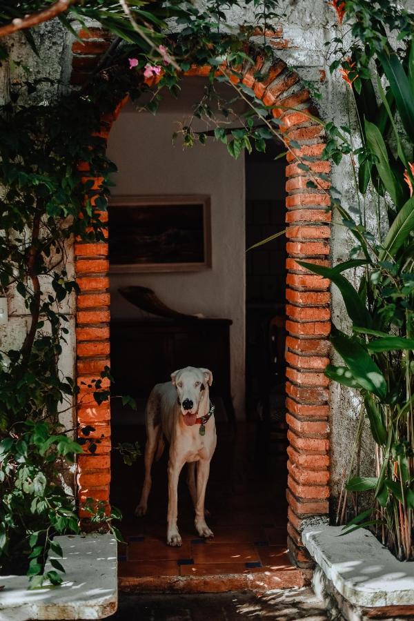 Hosteria Chata Adults Only Lo de Marcos Buitenkant foto